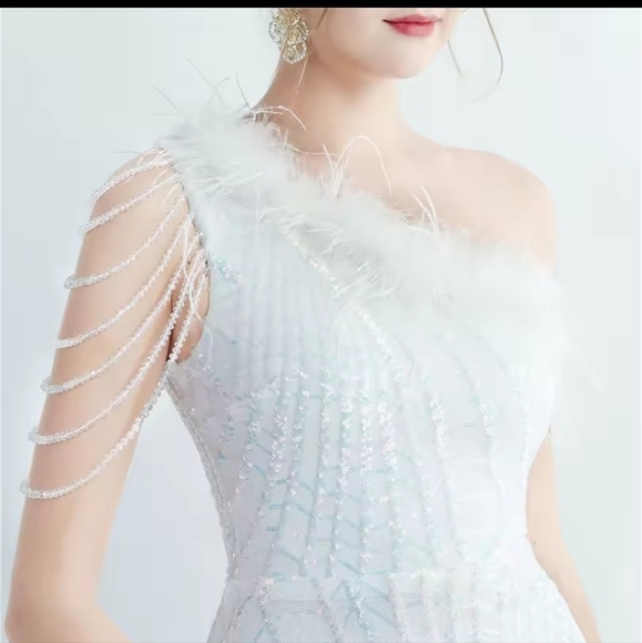 Opalescent,  Assymmetrical Neck,  Ostrich Feathers, Beaded, Geo ,Sequined Gown - Picture 11 of 15